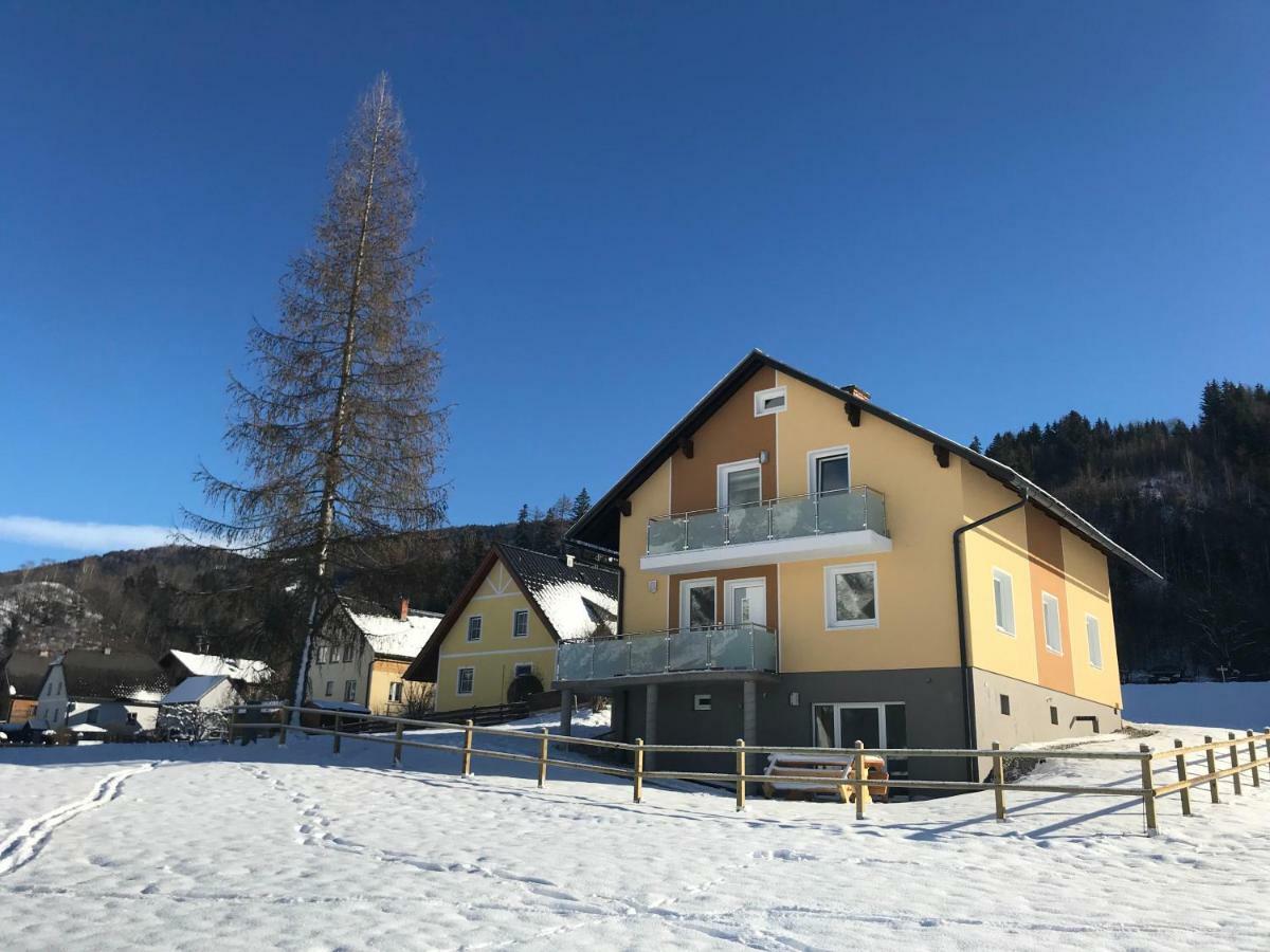 Grimming-Panorama Apartment Niederoblarn Exterior photo